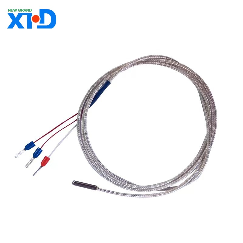 PT100 thermokoppel